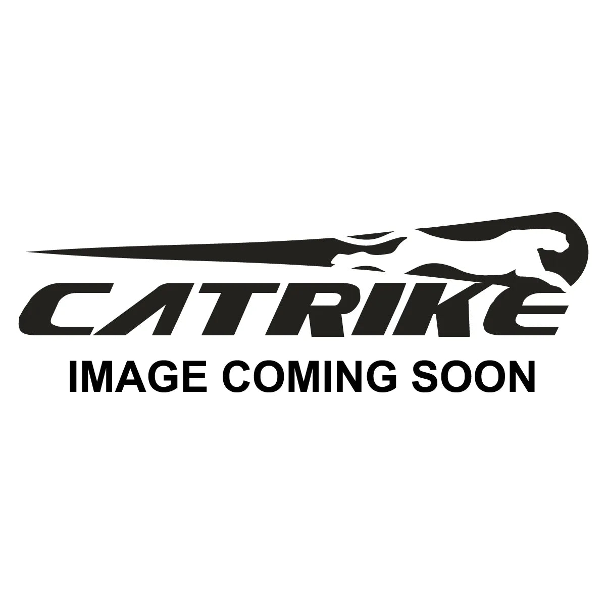 Catrike Pocket