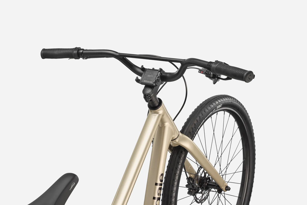 Cannondale Treadwell 1 Platinum Large